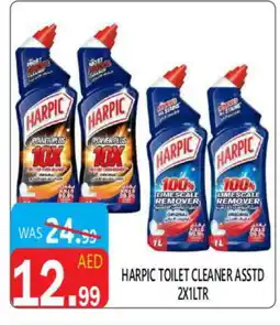 United Hypermarket HARPIC Toilet / Drain Cleaner offer