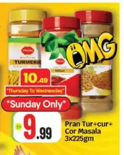 Bigmart PRAN Spices / Masala offer