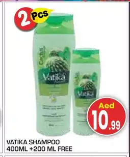 Baniyas Spike Hypermarket VATIKA Shampoo / Conditioner offer