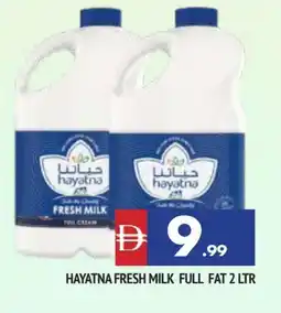 Al Madina HAYATNA Full Cream Milk offer