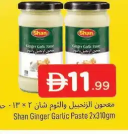 Al Madina SHAN Garlic Paste offer