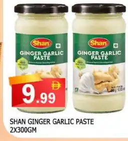 Al Madina SHAN Garlic Paste offer