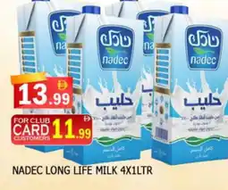 Al Madina NADEC Long Life / UHT Milk offer
