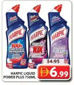 Grand Hyper Market HARPIC Toilet / Drain Cleaner offer
