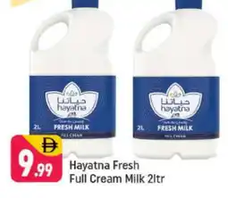 Shaklan HAYATNA Full Cream Milk offer