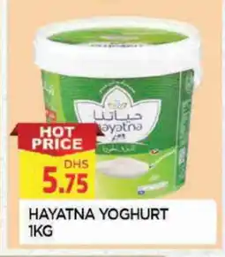 Al Madina HAYATNA Yoghurt offer