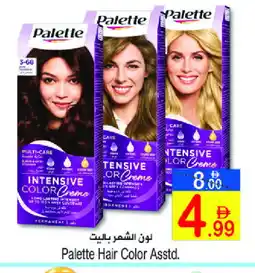 Sun and Sand Hypermarket PALETTE Hair Colour offer