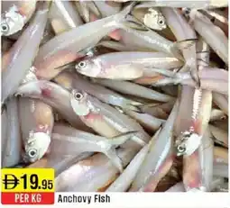West Zone Supermarket Anchovy Fish offer