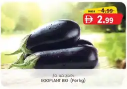KM Trading Eggplant Big offer