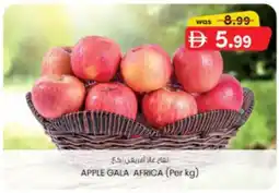 KM Trading Apple Gala Africa offer