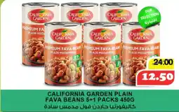 Al Mushrif Co-Operative Society California Garden Plain Fava Beans offer