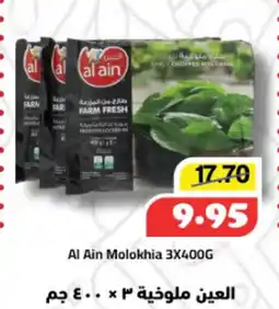 Al Mushrif Co-Operative Society Al Ain Molokhia offer