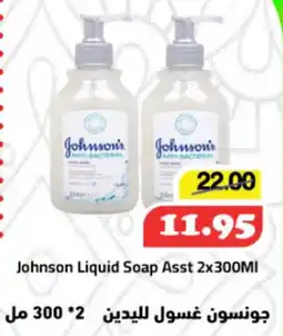 Johnson Liquid Soap Asst