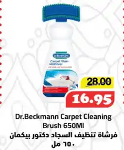Al Mushrif Co-Operative Society Dr.Beckmann Carpet Cleaning Brush offer