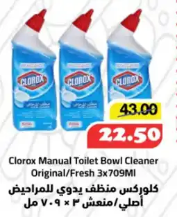 Al Mushrif Co-Operative Society Clorox Manual Toilet Bowl Cleaner offer