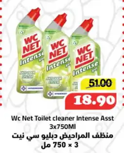 Al Mushrif Co-Operative Society Wc Net Toilet cleaner Intense Asst offer