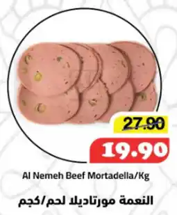 Al Mushrif Co-Operative Society Al Nemeh Beef Al Nemeh Beef Mortadella/kg offer