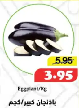 Al Mushrif Co-Operative Society Eggplant offer