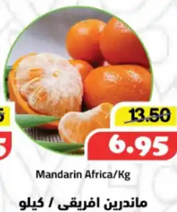 Al Mushrif Co-Operative Society Mandarin Africa offer