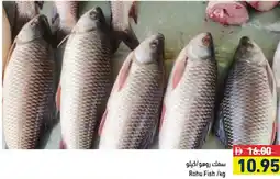 Aswaq Ramez Rohu Fish offer