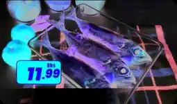 Amber Seema Fish offer