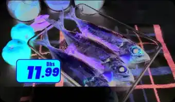 Amber Seema Fish offer