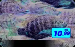 Amber Tilapia offer