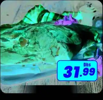 Amber Fresh Mutton Ethiopia offer