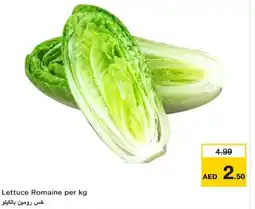 Nesto Lettuce offer