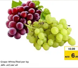 Nesto Grape White/Red offer