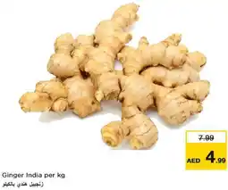 Nesto Ginger offer