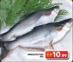 Grand Hyper Market Pangush fish offer