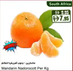 Almaya supermarket Mandarin Nadorocott offer