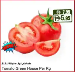 Almaya supermarket Tomato Green House offer