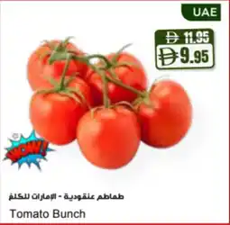 Almaya supermarket Tomato Bunch offer