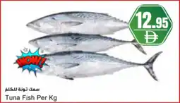 Almaya supermarket Tuna Fish offer
