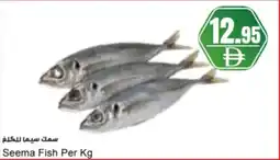 Almaya supermarket Seema Fish offer