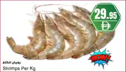 Almaya supermarket Shrimps offer