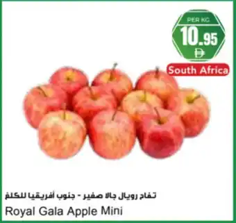 Almaya supermarket Royal Gala Apple Mini offer