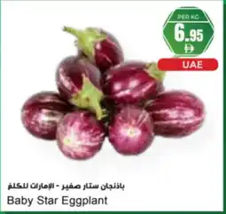 Almaya supermarket Baby Star Eggplant offer