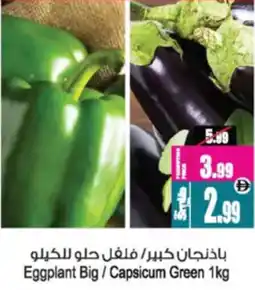 Ansar Mall Eggplant Big / Capsicum Green offer