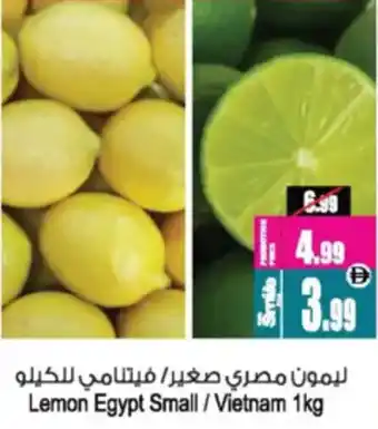 Ansar Mall Lemon Egypt Small / Vietnam offer