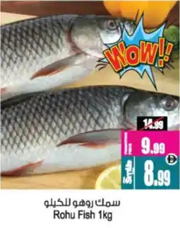 Ansar Mall Rohu Fish offer