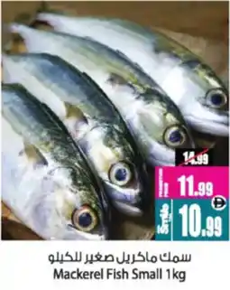 Ansar Mall Mackerel Fish Small offer