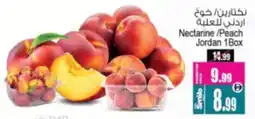Nectarine / Peach