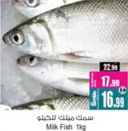 Ansar Mall Milk Fish offer