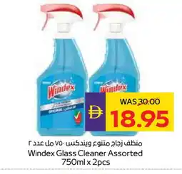 Megamart WINDEX Glass Cleaner offer