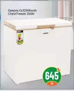 Bigmart GEEPAS Freezer offer