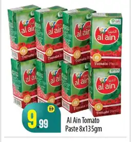 Bigmart AL AIN Tomato Paste offer