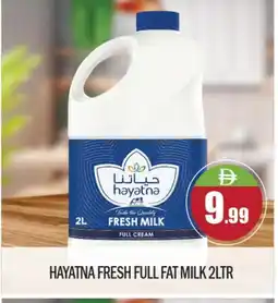 Bigmart HAYATNA Full Cream Milk offer